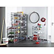 Regalux Clever Marco de metal (Revestimiento de polvo, 45 x 30 x 79,5 cm)