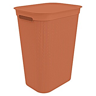 Rotho Wäschesammler Brisen (431 x 340 x 529 mm, Corale, Kunststoff)