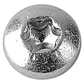 Profi Depot Spaanplaatschroef VZ (5 x 17 mm, 200 stk., Verzinkt, TX voor TORX-aandrijving)