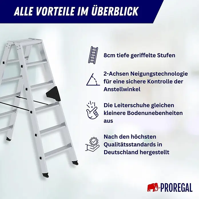 Stufen-Stehleiter beidseitig begehbar 2x3 Stufen - 