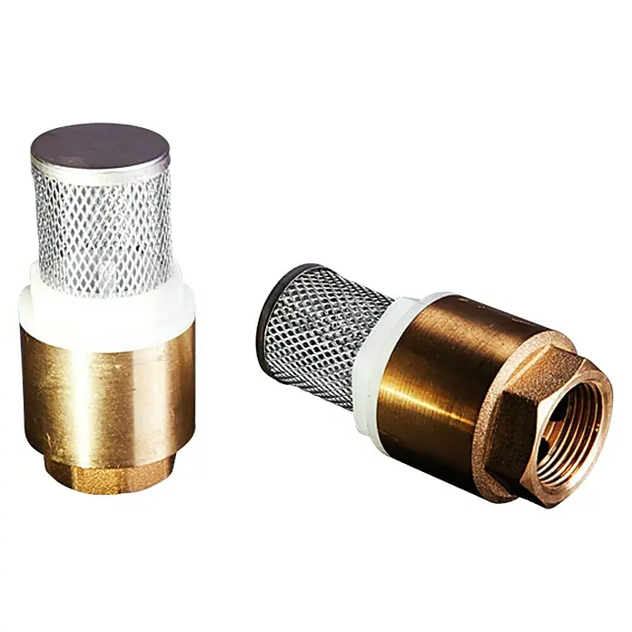 Saugventil - ¾″, Passend für: Pumpen - Zwei Rückschlagventile mit Sieb, ideal für Pumpen und Bewässerungssysteme. Robust und zuverlässig für sauberes Wasser.