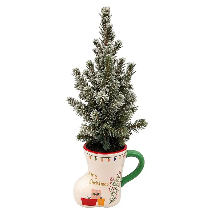 Piardino Zuckerhut-Fichte im Keramikstiefel - Picea glauca conica, Topfgröße: 11 cm - Kleiner gefrosteter Weihnachtsbaum in einer weißen Stiefeltasse mit 'Merry Christmas' Text, bunten Lichtern, Geschenken und grünem Henkel.