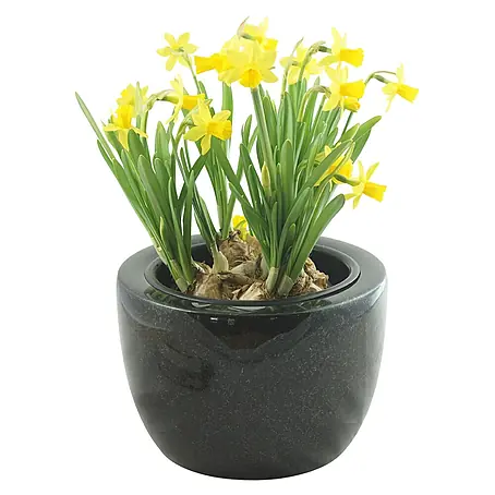 Grabschale Modern, ØxH: 24x15 cm, Granit, Schwedisch Black, Schwarz