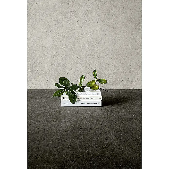 Design-Feinsteinzeug anthrazitfarbener matter 120x120 - Ital. Fliesen - 