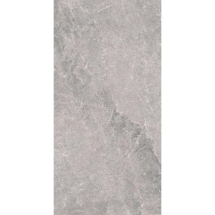 Feinsteinzeug in geäderter grauer Steinoptik 60x120 - Italienische Fliesen -  - Graue Steinoberfläche mit feiner weißer Maserung und gesprenkelter Textur, geeignet für Boden- oder Wandfliesen.