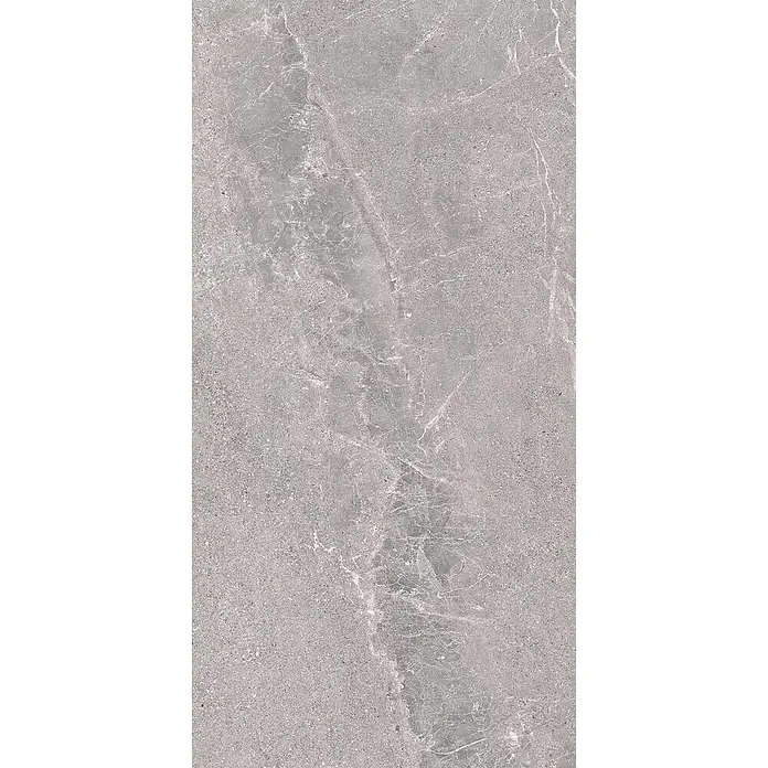 Feinsteinzeug in geäderter grauer Steinoptik 60x120 - Italienische Fliesen -  - Graue Steinoptik-Fliese mit feiner weißer Maserung und körniger Textur, geeignet für Böden und Wände.
