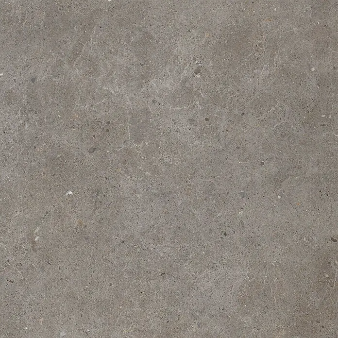 Feinsteinzeug in grauer aschgrauer Betonoptik 60x60 - Italienische Fliesen -  - Dunkelgraue Fliese in Betonoptik mit feinen helleren Adern und Sprenkeln, ideal für moderne Böden.