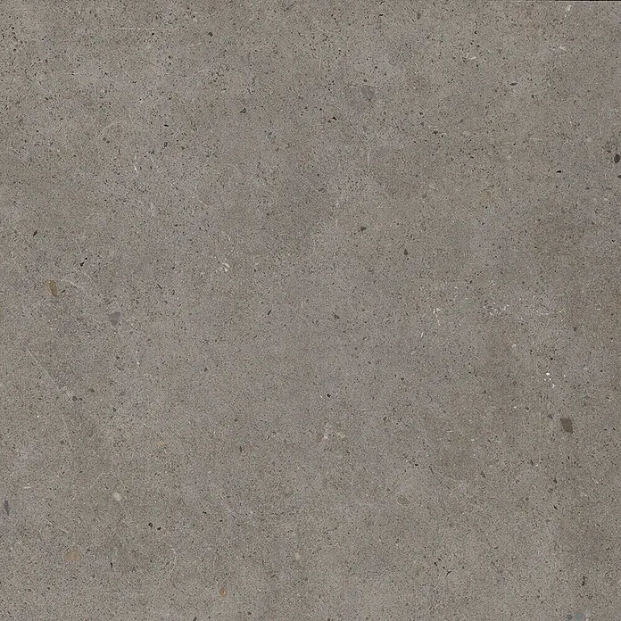 Feinsteinzeug in grauer aschgrauer Betonoptik 60x60 - Italienische Fliesen -  - Matte graue Steinfläche mit subtilen Sprenkeln, ideal für Boden- oder Wandverkleidungen.