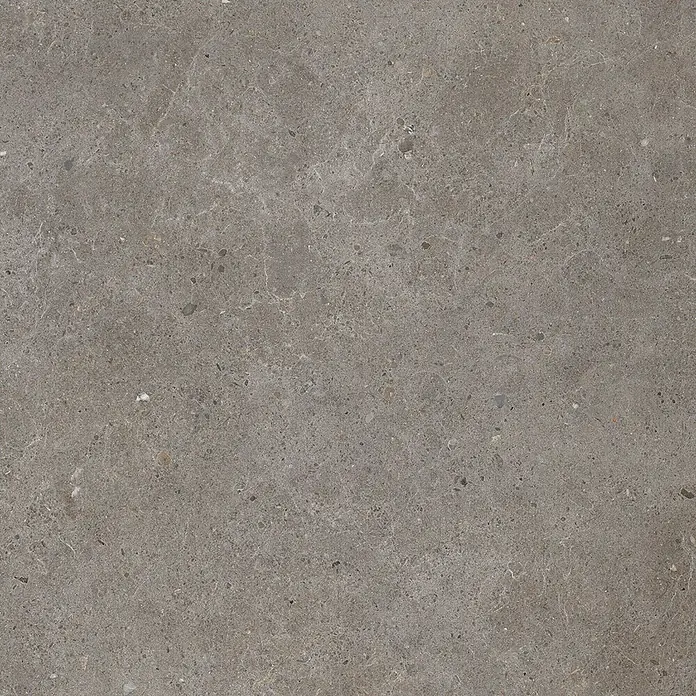Feinsteinzeug in grauer aschgrauer Betonoptik 60x60 - Italienische Fliesen -  - Texturierte dunkelgraue Fliese mit feiner weißer Äderung und Aggregatpartikeln.