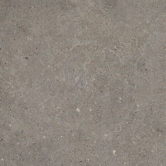 Feinsteinzeug in grauer aschgrauer Betonoptik 60x60 - Italienische Fliesen -  - Texturierte graue Steinplatte mit subtilen weißen Adern und kleinen, unterschiedlichen Aggregaten.