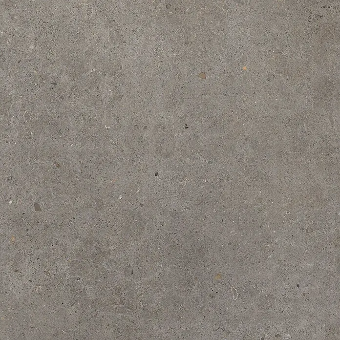 Feinsteinzeug in grauer aschgrauer Betonoptik 60x60 - Italienische Fliesen -  - Dunkelgraue Stein- oder Betontextur mit feinen, unregelmäßigen Einschlüssen.