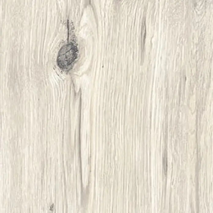 Feinsteinzeug in roher matter weißer Holzoptik 20x120 - Ital. Fliesen -  - Helle, patinierte Holzoptik-Oberfläche mit dunklem Astloch, ideal für rustikale Böden oder Paneele.