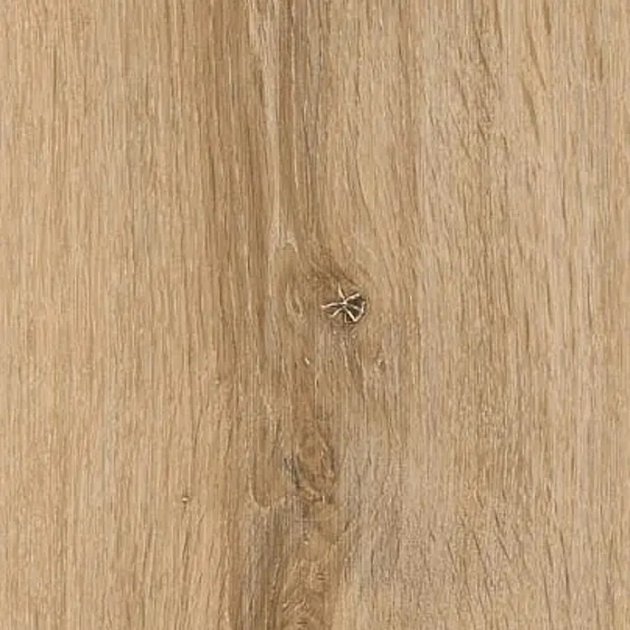 Feinsteinzeug in honigfarbener Holzoptik 20x120 - Italienische Fliesen -  - Helle Holzstruktur mit natürlicher Maserung und kleinem dunklen Ast.
