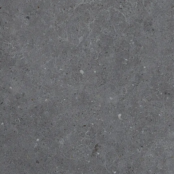Feinsteinzeug in anthrazit Betonoptik 60x60 - Italienische Fliesen -  - Dunkelgraue, gesprenkelte Stein- oder Betonoberfläche mit subtilen helleren Äderungen und verschiedenen Mineraleinschlüssen.