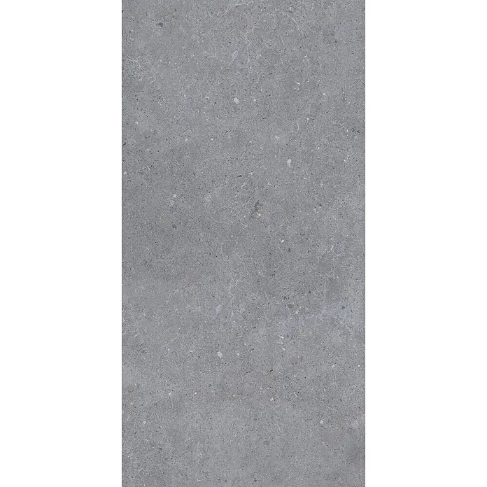 Feinsteinzeug in matter dunkelgrauer Betonoptik 60x120 - Ital. Fliesen -  - Strukturierte graue Fliese mit feiner weißer Maserung und kleinen Körnchen.