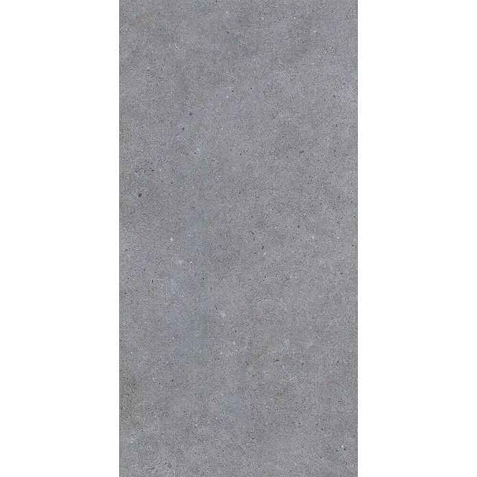 Feinsteinzeug in matter dunkelgrauer Betonoptik 60x120 - Ital. Fliesen -  - Graue gesprenkelte Steinstruktur für natürliche und industrielle Oberflächen.