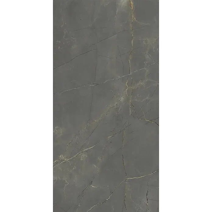 Feinsteinzeug in glänzender schwarzer Marmoroptik 60x120 - Ital. Fliesen -  - Dunkelgraue Marmorfliese mit auffälligen goldenen und hellgrauen Maserungen, geeignet für Boden- oder Wandverkleidungen.