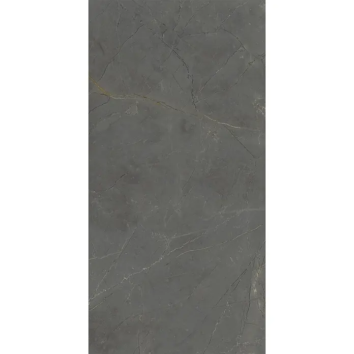 Feinsteinzeug in glänzender schwarzer Marmoroptik 60x120 - Ital. Fliesen -  - Dunkelgraue Marmorfliese mit markanter weißer und goldener Maserung.