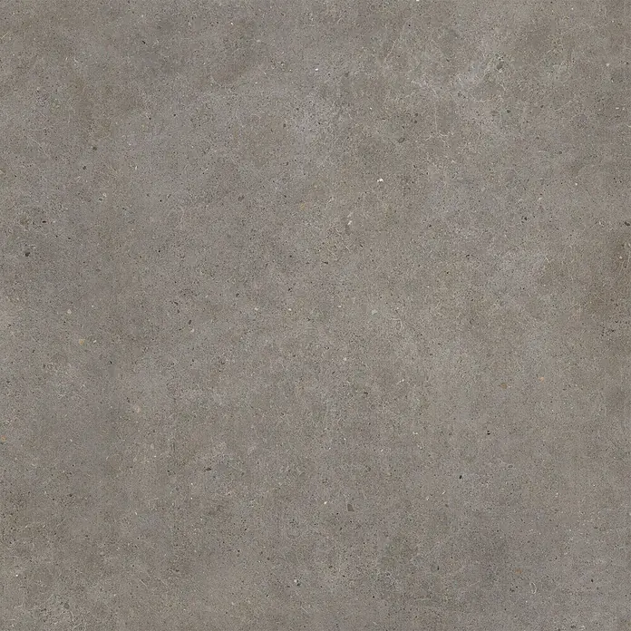 Design-Feinsteinzeug brauner matter 120x120 - Italienische Fliesen -  - Dunkelgraue gesprenkelte Steinstruktur mit subtilen helleren Äderungen.