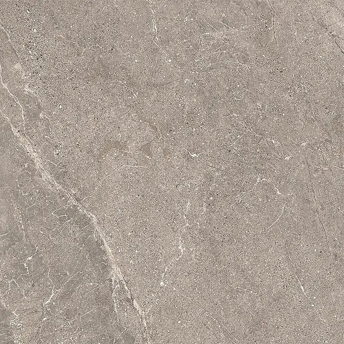Feinsteinzeug in geäderter beiger Steinoptik 60x60 - Italienische Fliesen -  - Grau gesprenkelte Natursteinfliese mit auffälligen weißen Adern.