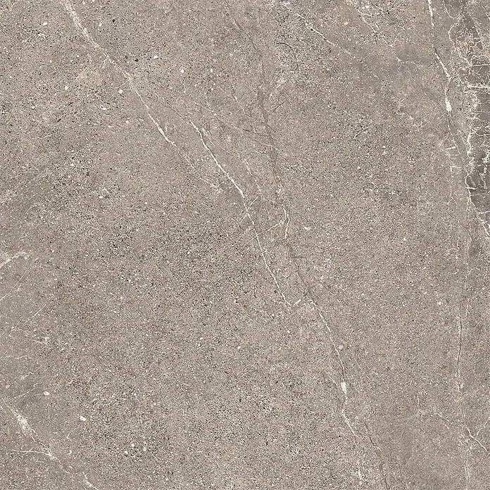 Feinsteinzeug in geäderter beiger Steinoptik 60x60 - Italienische Fliesen -  - Texturierte dunkelgraue Steinfliese mit natürlichen Sprenkeln und feinen weißen Adern.