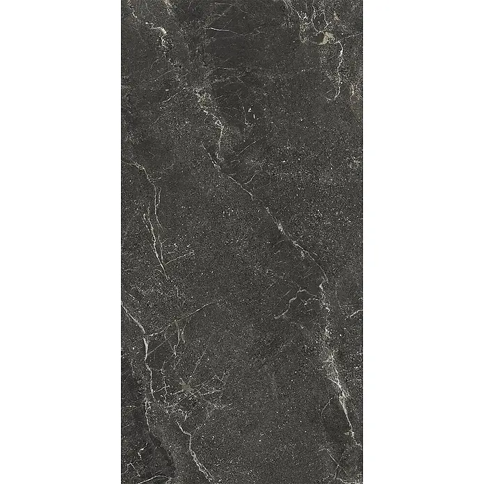 Feinsteinzeug geäderter schwarzer Steinoptik 60x120 - Italienische Fliesen -  - Dunkelgraue Fliese mit weißer und hellgrauer Marmorierung sowie feinen Sprenkeln.