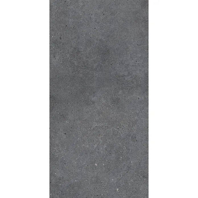 Feinsteinzeug in matter anthrazitfarbener Betonoptik 60x120 - Ital. Fliesen -  - Dunkelgraue Steinstruktur mit feinen Sprenkeln und subtilen weißen Adern.