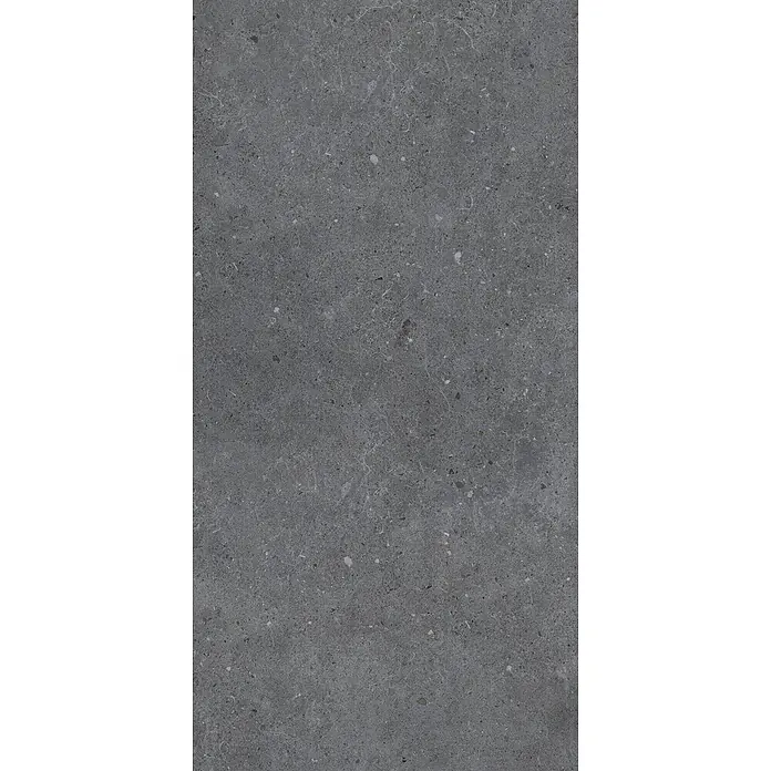 Feinsteinzeug in matter anthrazitfarbener Betonoptik 60x120 - Ital. Fliesen -  - Dunkelgraue gesprenkelte Steinstruktur mit feiner weißer Maserung, ideal für Bodenbeläge oder Oberflächen.