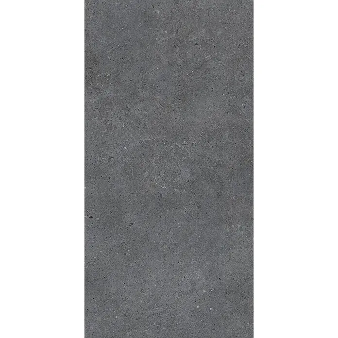 Feinsteinzeug in matter anthrazitfarbener Betonoptik 60x120 - Ital. Fliesen -  - Dunkelgraue gesprenkelte Oberfläche mit subtilen weißen Adern.
