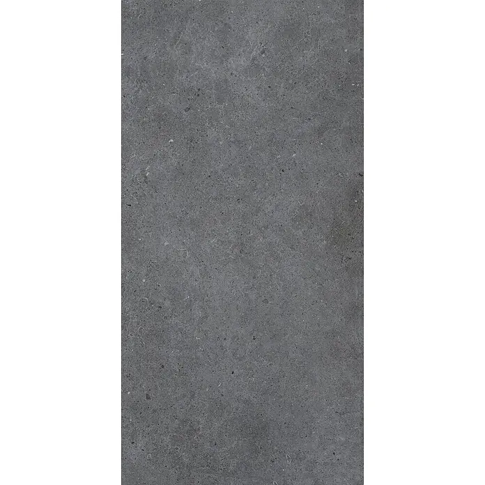 Feinsteinzeug in matter anthrazitfarbener Betonoptik 60x120 - Ital. Fliesen -  - Dunkelgraue, texturierte Stein- oder Betonoberfläche mit feiner Maserung und helleren Sprenkeln.