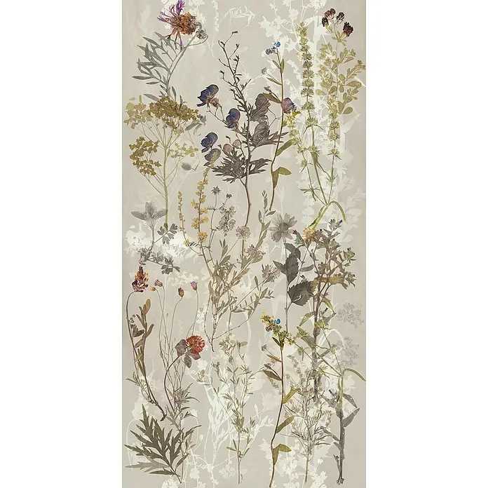 Dekorierte Wandfliese aus Feinsteinzeug 03 60x120 - Italienische Fliesen -  - Eine detaillierte botanische Anordnung verschiedener gepresster, getrockneter Wildpflanzen und Blüten in gedeckten Naturtönen.