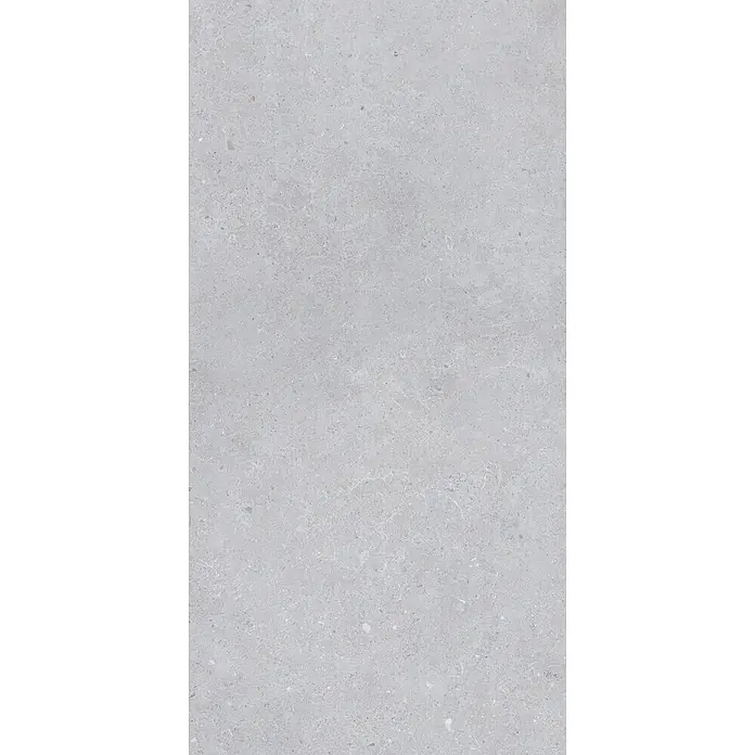 Feinsteinzeug in matter hellgrauer Betonoptik 60x120 - Italienische Fliesen -  - Hellgraue Beton- oder Terrazzotextur mit kleinen Sprenkeln und subtilen weißen Adern.
