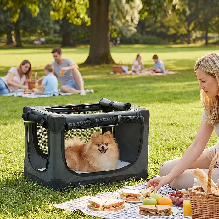 PawHut Katze Transporttasche Grün 60L x 42B x 43H cm -  - Dunkelgraue weiche Hundebox mit kleinem braunem Hund, draußen neben einer picknickenden Frau im Park genutzt.