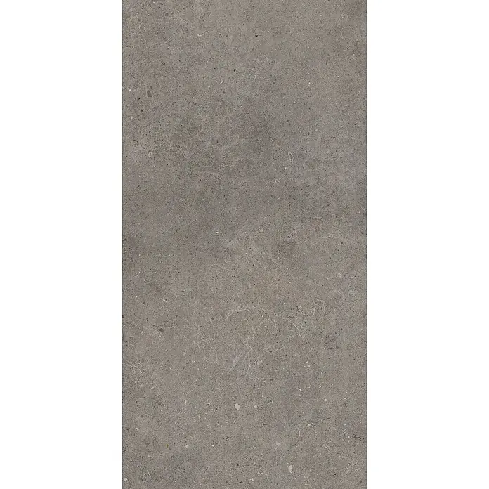 Feinsteinzeug in grauer aschmatter grauer Betonoptik 60x120 - Ital. Fliesen -  - Dunkelgraue Steinoberfläche mit feiner Körnung, dezenter Äderung und kleinen Mineraleinschlüssen.