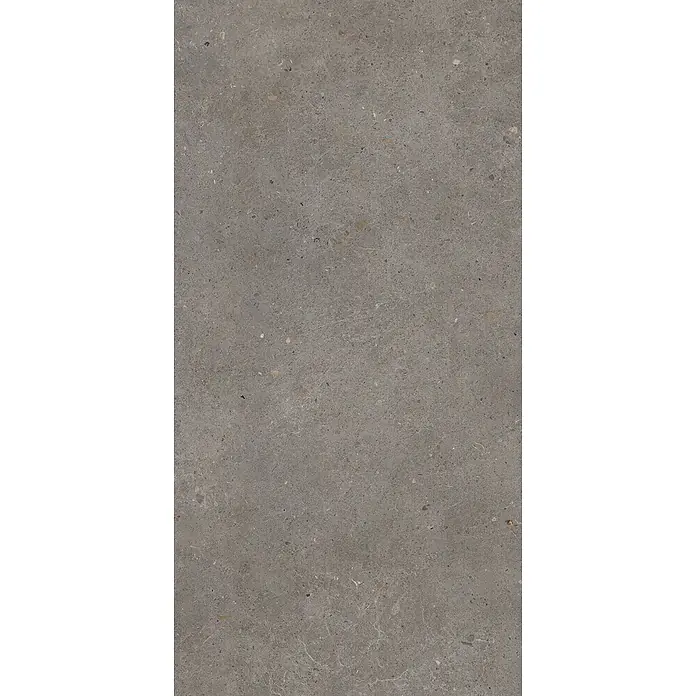 Feinsteinzeug in grauer aschmatter grauer Betonoptik 60x120 - Ital. Fliesen -  - Dunkelgraue Stein- oder Betontextur mit feiner Körnung und subtilen, unregelmäßigen Sprenkeln.