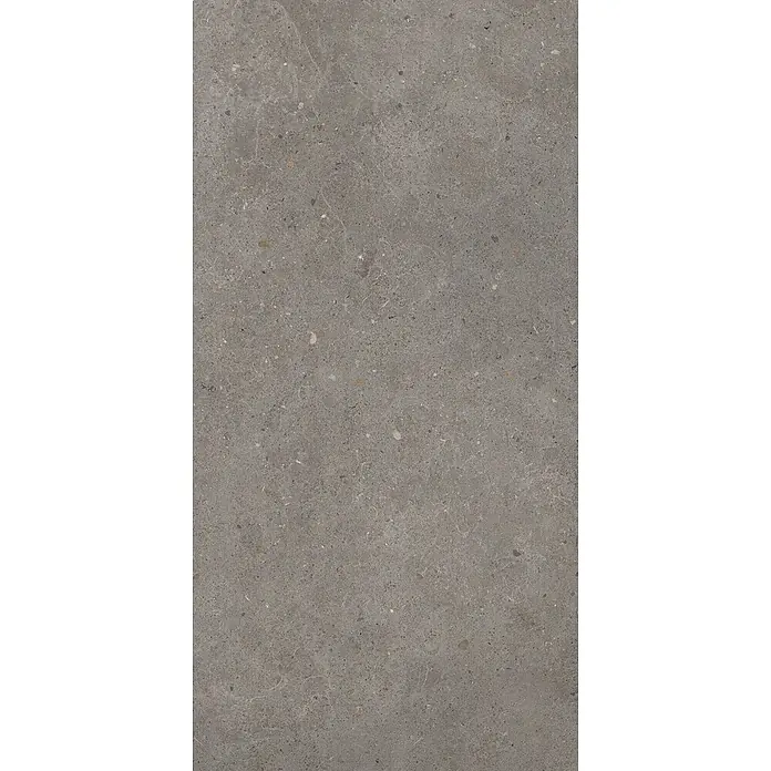Feinsteinzeug in grauer aschmatter grauer Betonoptik 60x120 - Ital. Fliesen -  - Dunkelgraue gesprenkelte Steinstruktur mit feinen helleren Adern.
