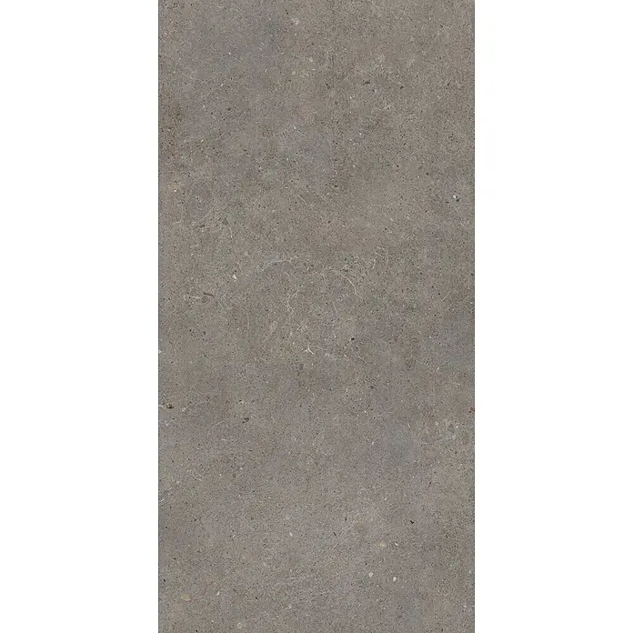Feinsteinzeug in grauer aschmatter grauer Betonoptik 60x120 - Ital. Fliesen -  - Dunkelgraue gesprenkelte Steinoberfläche mit dezenter Maserung.