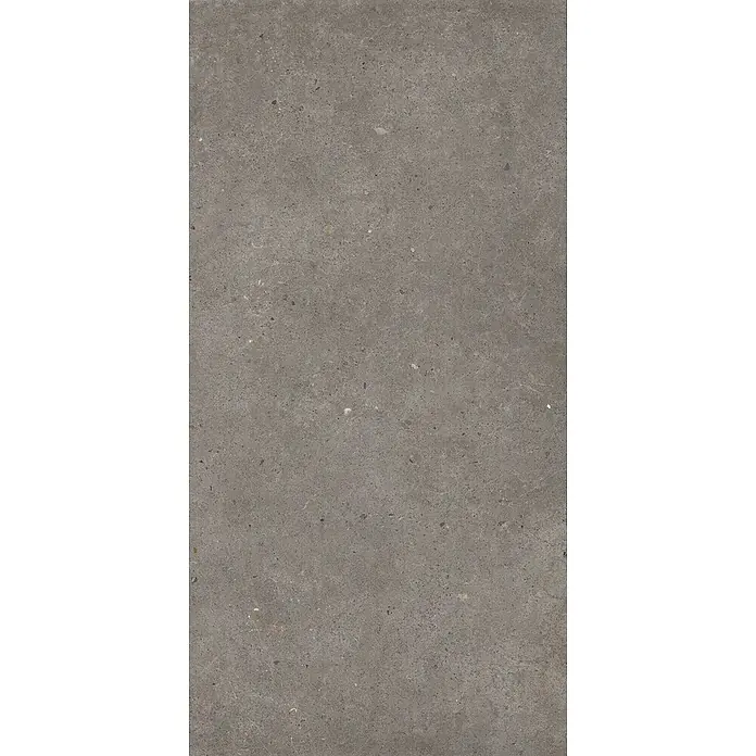 Feinsteinzeug in grauer aschmatter grauer Betonoptik 60x120 - Ital. Fliesen -  - Dunkelgraue gesprenkelte Beton- oder Steinoptikoberfläche, geeignet für Boden- oder Wandverkleidungen.