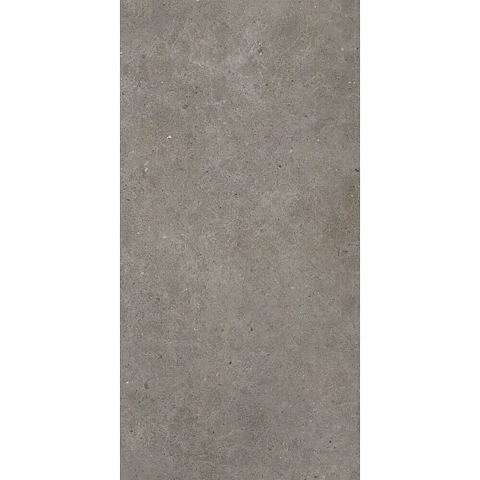 Feinsteinzeug in grauer aschmatter grauer Betonoptik 60x120 - Ital. Fliesen -  - Dunkelgraue gesprenkelte Beton- oder Steinstruktur mit feiner Maserung.