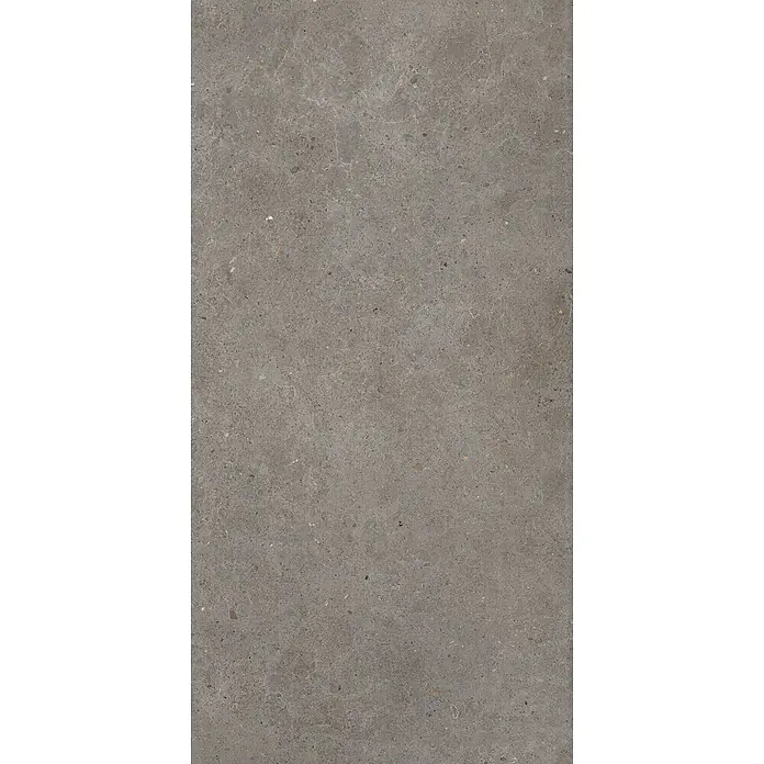 Feinsteinzeug in grauer aschmatter grauer Betonoptik 60x120 - Ital. Fliesen -  - Graue gesprenkelte Steintextur für Boden- oder Wandbeläge.