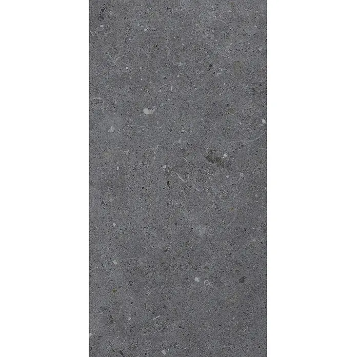 Feinsteinzeug in matter anthrazitfarbener Betonoptik 30x60 - Ital. Fliesen -  - Dunkelgraue, gesprenkelte Steinplatte mit gleichmäßiger körniger Textur.