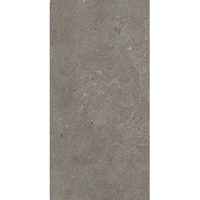 Design-Feinsteinzeug brauner matter 30x60 - Italienische Fliesen -  - Dunkelgraue Fliese in Steinoptik mit gesprenkelten Einschlüssen und zarten weißen Adern.