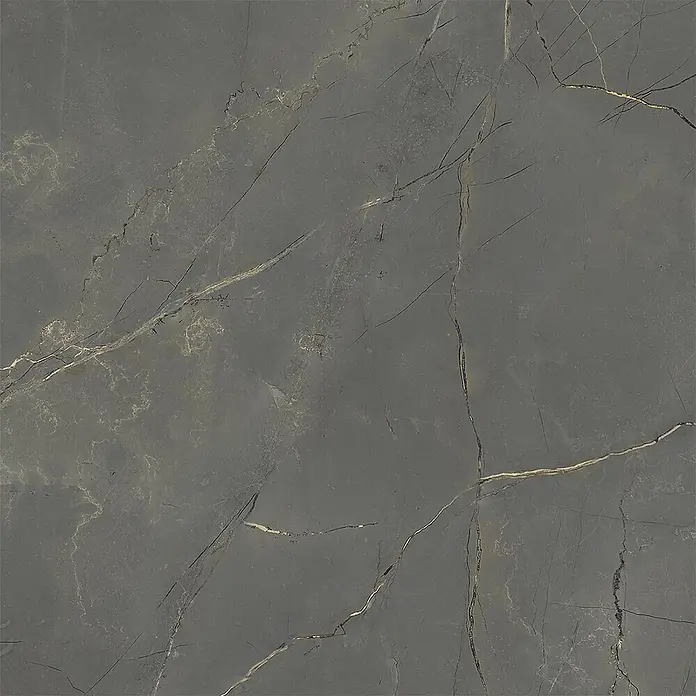 Feinsteinzeug in matter schwarzer Marmoroptik 60x60, Ret - Ital. Fliesen -  - Dunkelgraue Marmorfliese mit auffälligen goldenen und dunklen Adern.