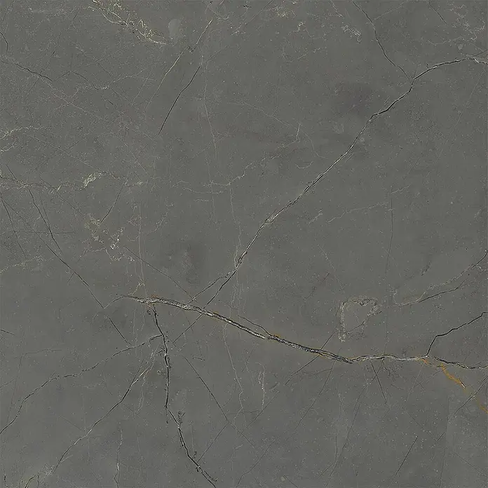 Feinsteinzeug in matter schwarzer Marmoroptik 60x60, Ret - Ital. Fliesen -  - Dunkelgraue Marmor-Optik Fliese mit auffälligen goldenen und helleren grauen Adern, für moderne Oberflächen.