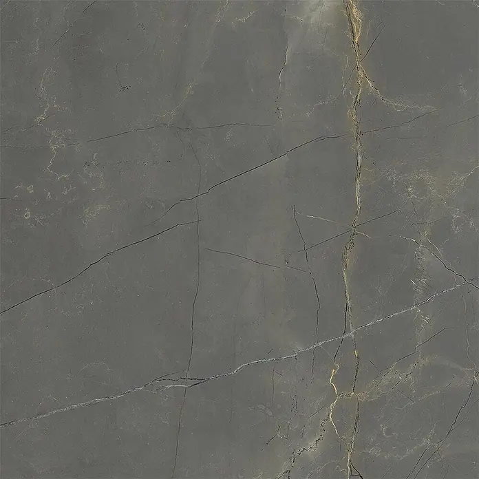 Feinsteinzeug in matter schwarzer Marmoroptik 60x60, Ret - Ital. Fliesen -  - Dunkelgraue Marmorfliese mit auffälligen goldenen und subtilen weißen Adern, ideal für elegante Oberflächen.