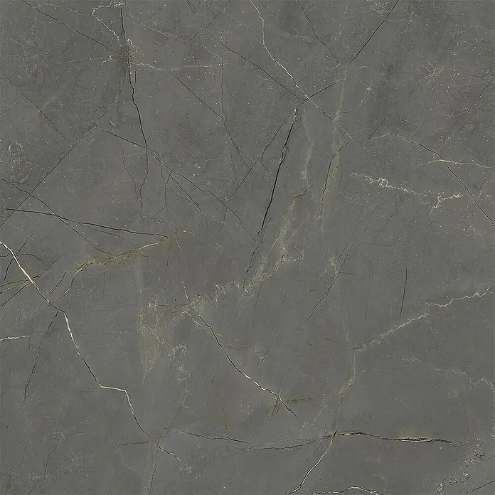 Feinsteinzeug in matter schwarzer Marmoroptik 60x60, Ret - Ital. Fliesen -  - Dunkelgraue Fliese in Marmoroptik mit ausgeprägter weißer und goldener Äderung.
