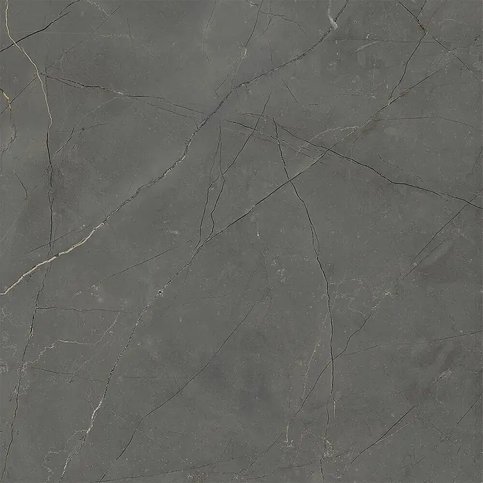 Feinsteinzeug in matter schwarzer Marmoroptik 60x60, Ret - Ital. Fliesen -  - Dunkelgraue Fliese in Marmoroptik mit heller und goldener Äderung.
