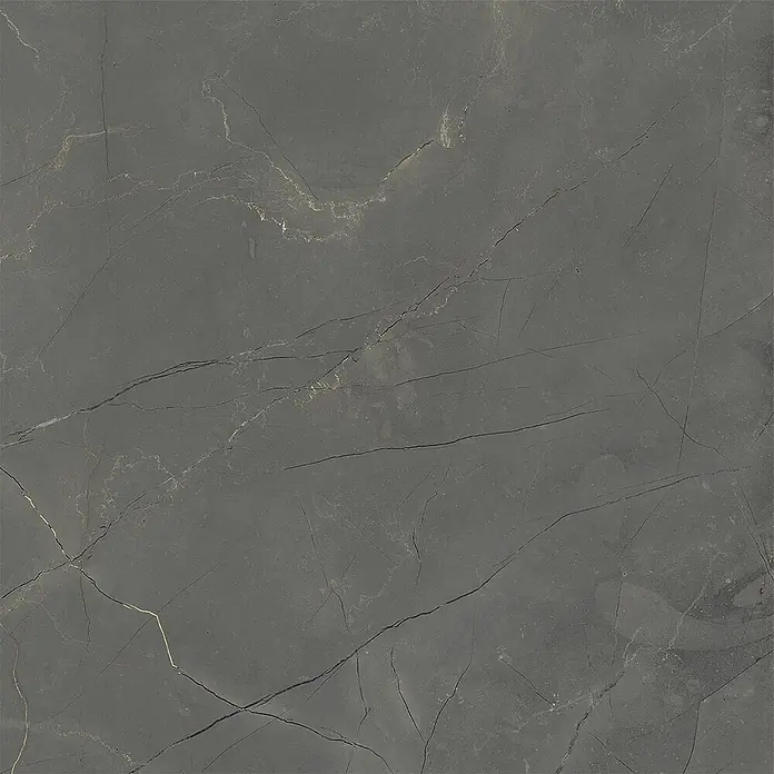Feinsteinzeug in matter schwarzer Marmoroptik 60x60, Ret - Ital. Fliesen -  - Dunkelgraue Natursteinfliese mit hellen und dunklen Adern.