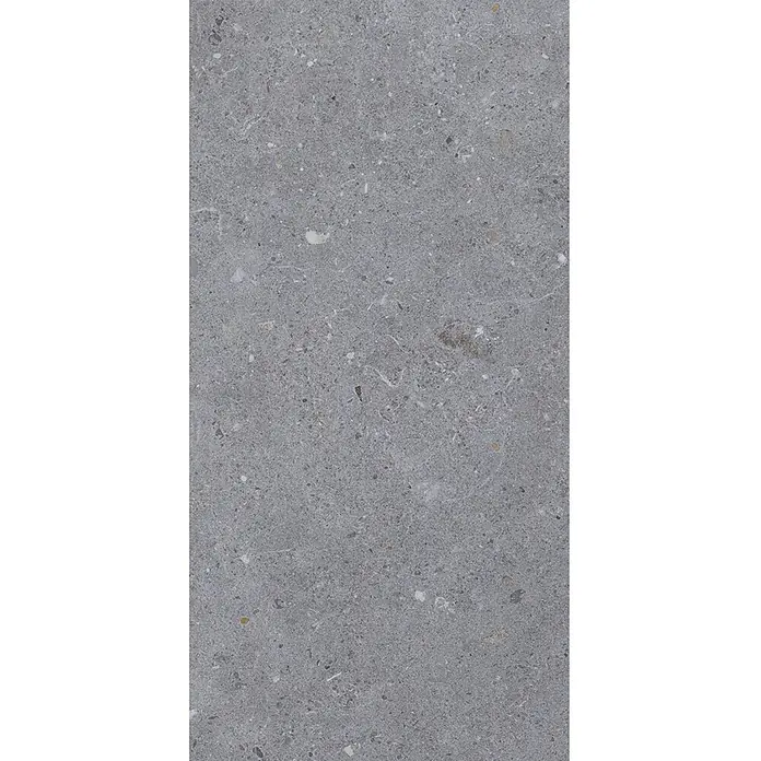 Design-Feinsteinzeug dunkelgrauer matter 30x60 - Italienische Fliesen -  - Graue gesprenkelte Steinfläche mit verschiedenen Zuschlägen.