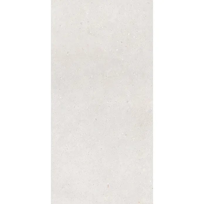 Feinsteinzeug in matter weißer Betonoptik 60x120 - Italienische Fliesen -  - Hellgraue Terrazzo-Optik Oberfläche mit dezenten farbigen Sprenkeln.